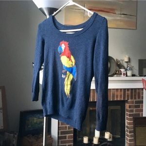 Polly parrot sweater
